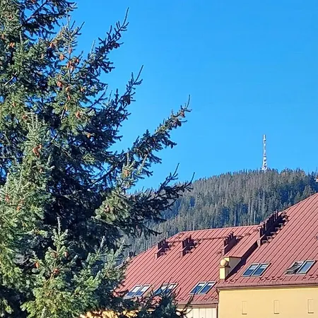 Goscinne Centrum Brzozowa 14 Kwatera prywatna *
